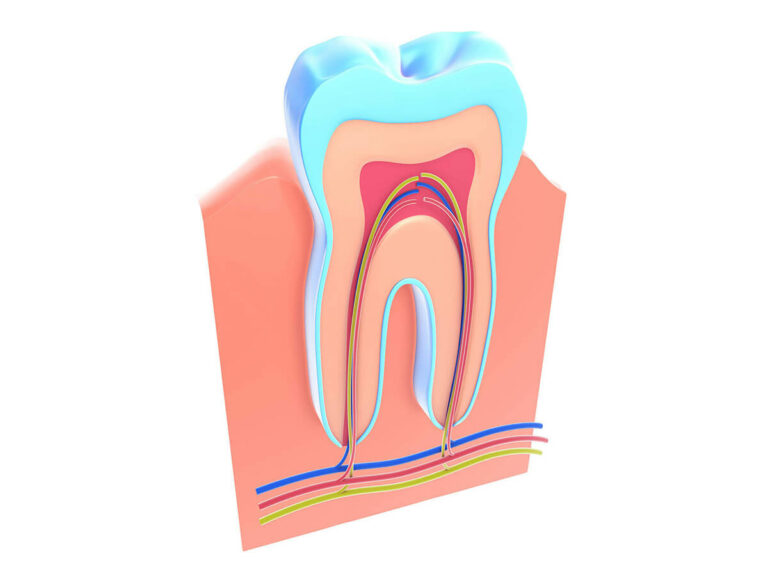 Root Canal Aftercare in Orange, CA